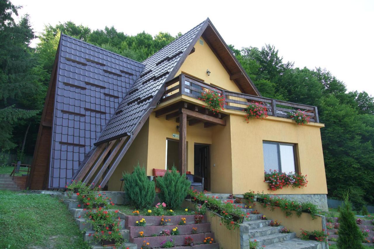 Green Property Dofteana Εξωτερικό φωτογραφία